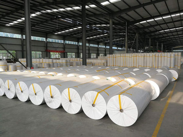 任县狭缝式涤纶纺粘无纺布